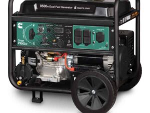 Cummins Onan 9.5kW P9500df Dual Fuel Portable Generator, Electric Start-A058U967